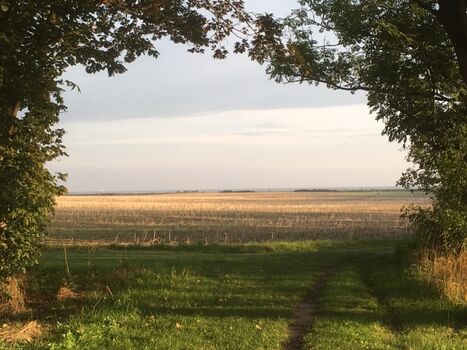 Herrlicher Spazierweg zur Geltinger Bucht