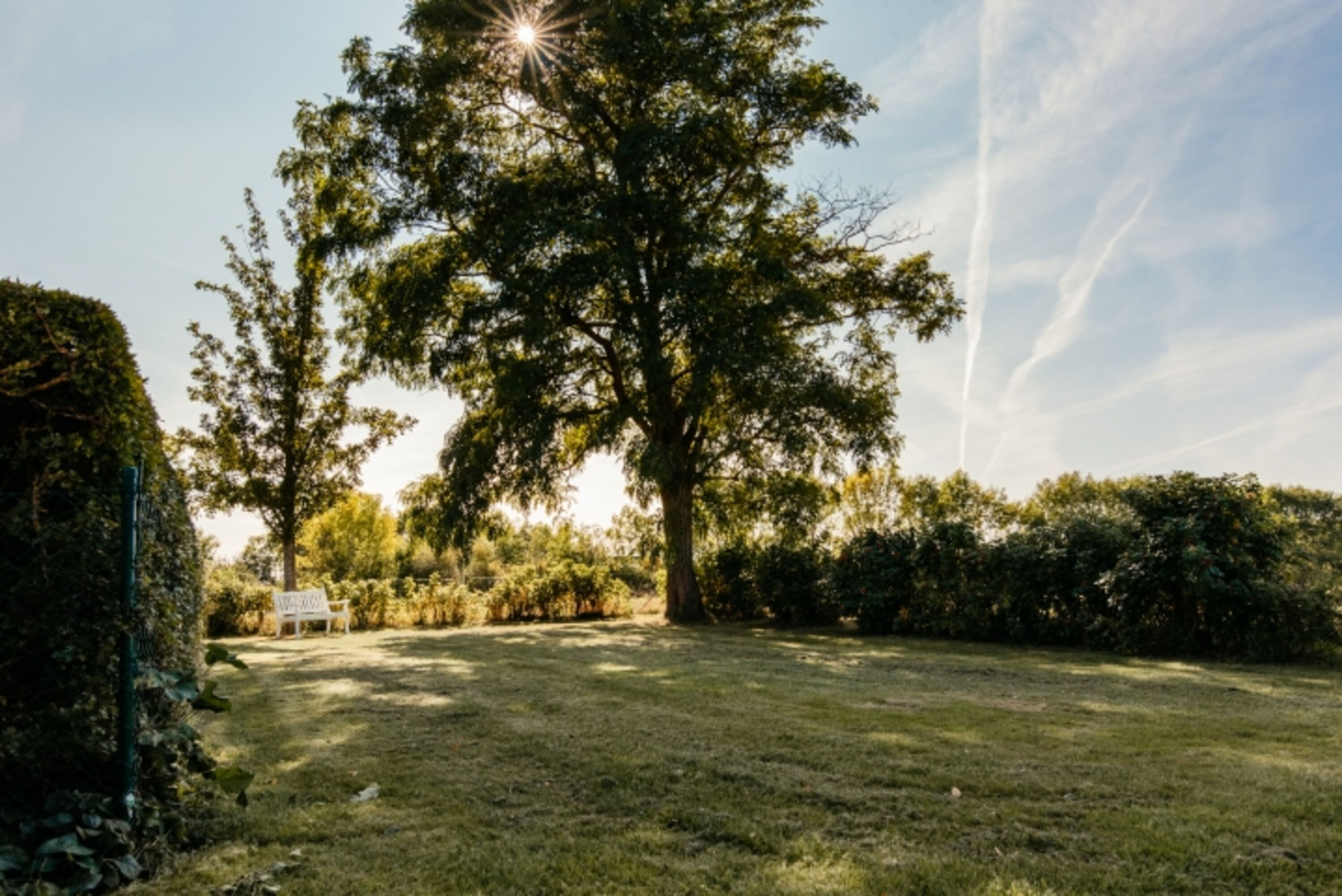 Eingezäunter Gartenbereich für Ihre Vierbeiner