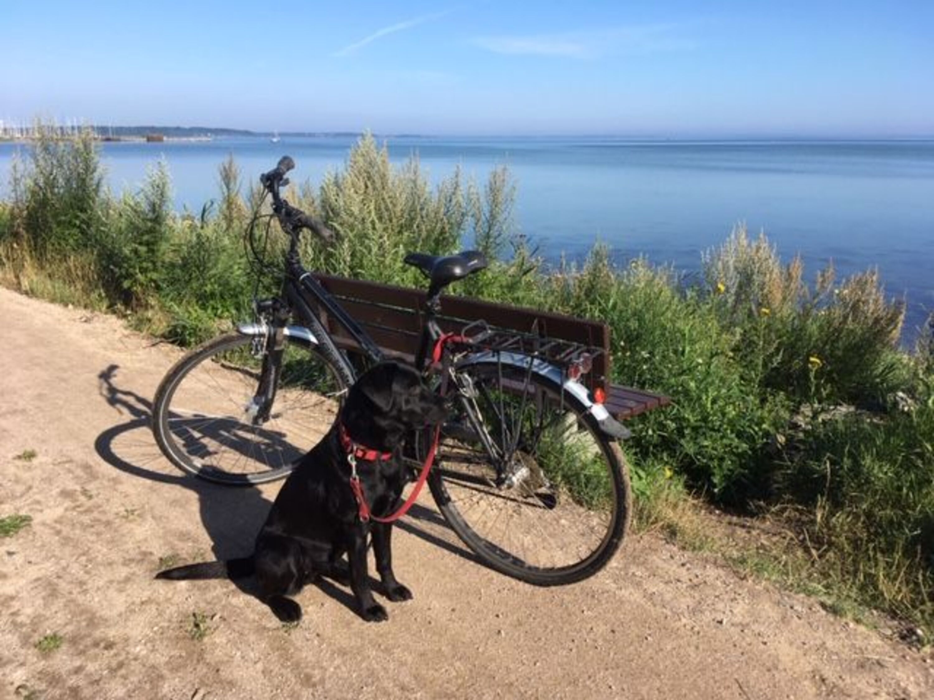 Genießen Sie eine Radtour durch das Naturschutzgebiet "Geltinger Birk"