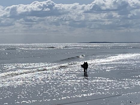 Wir sind hier ebenfalls willkommene Gäste!