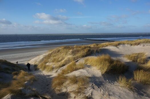 Die Dünen