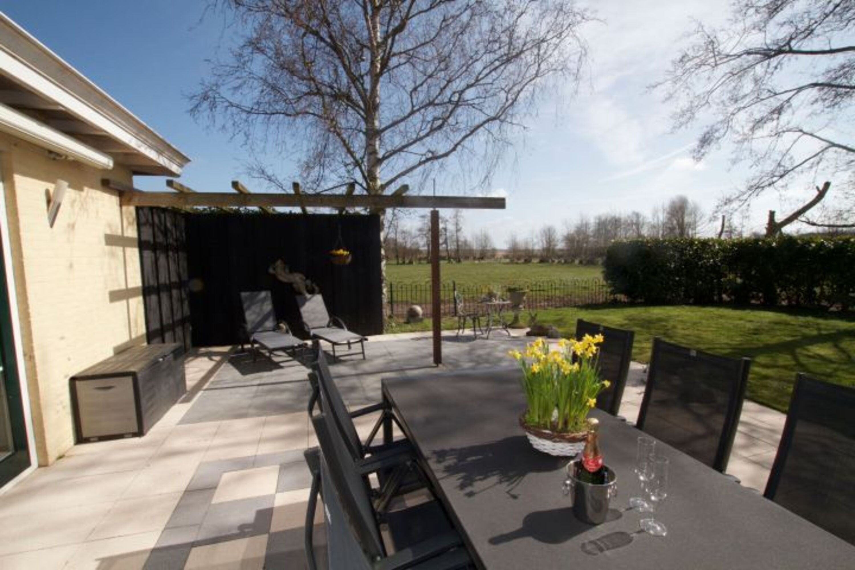 Der sonnige Garten mit Terrasse