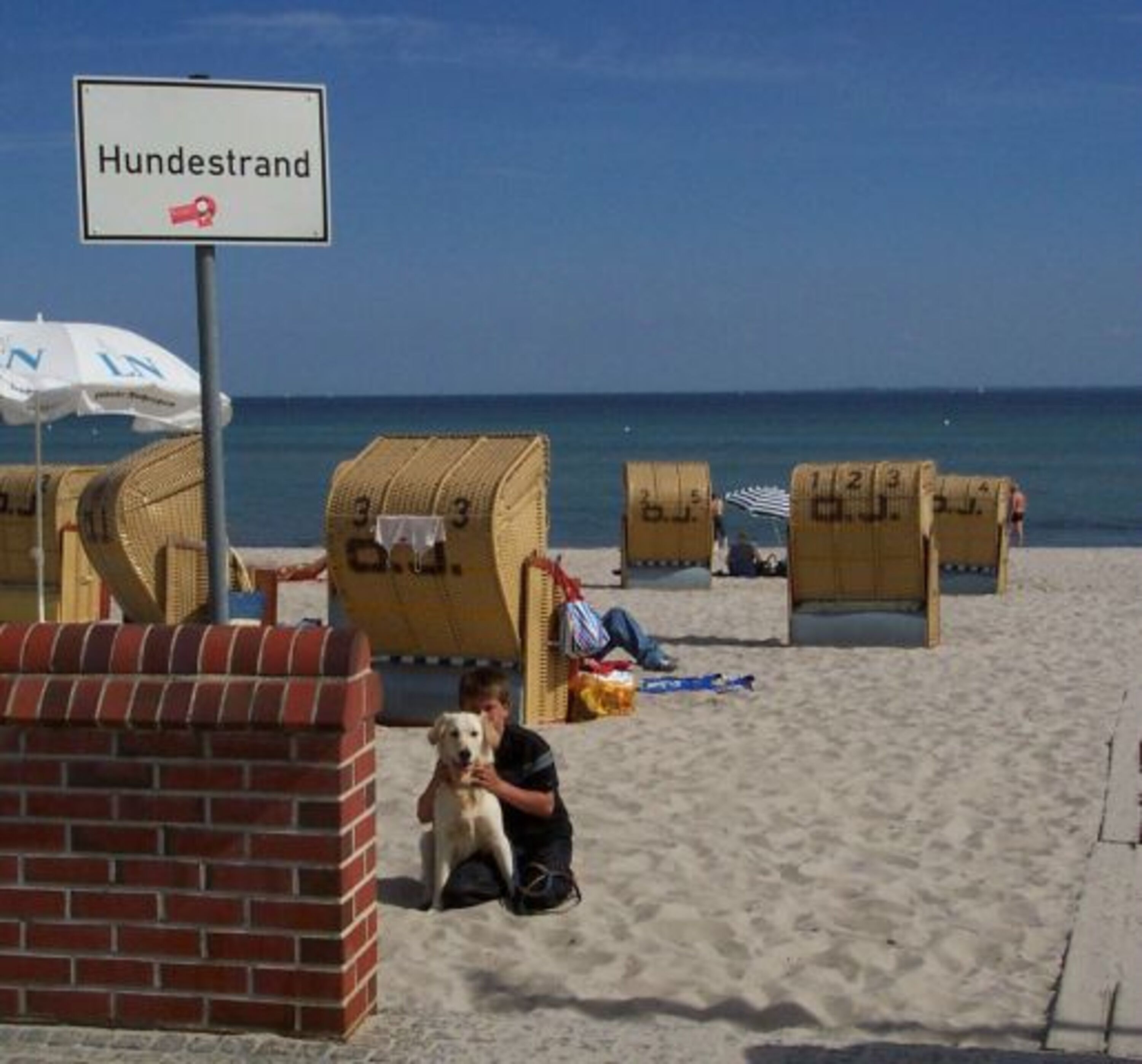 Bild 11