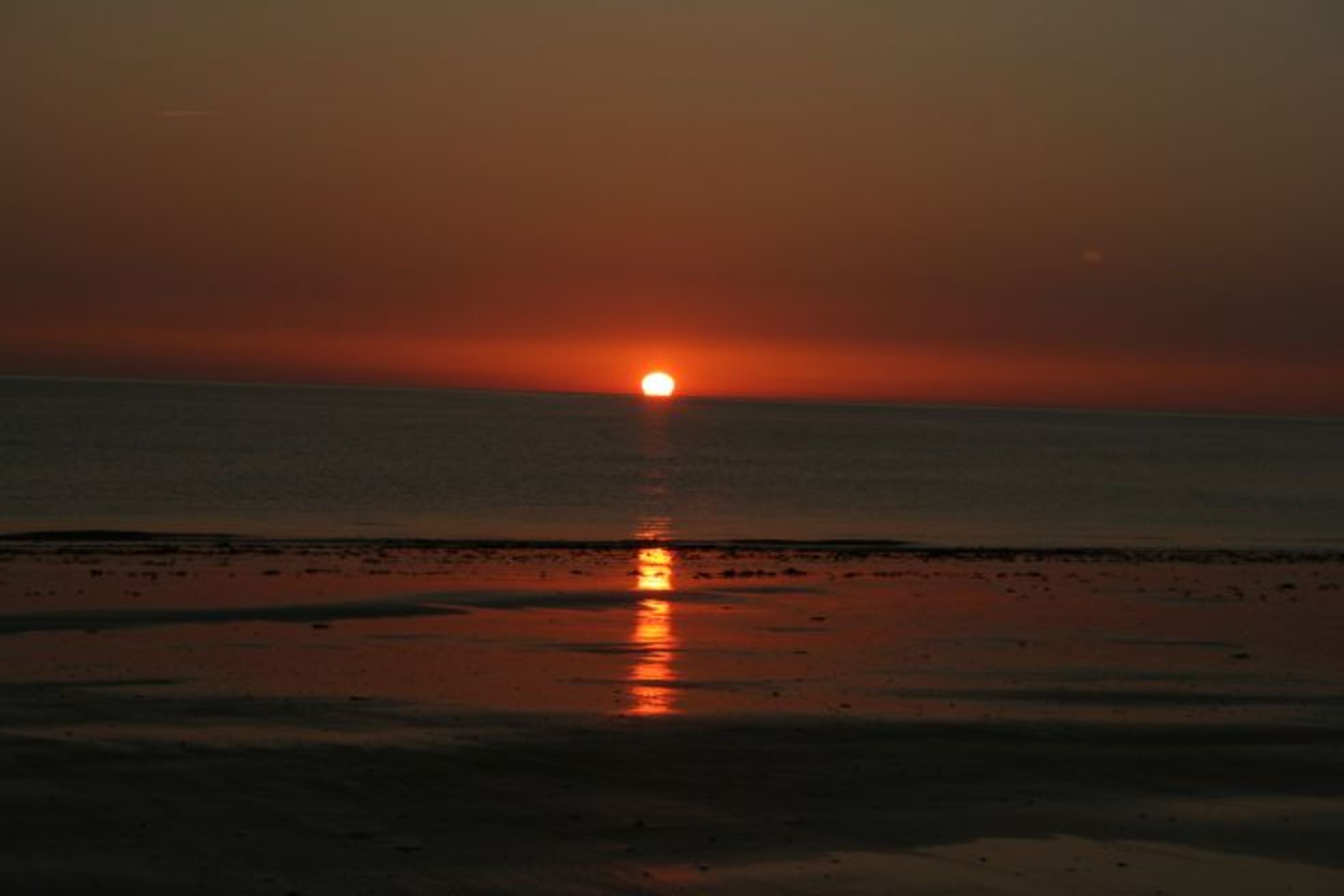 Bild 19
