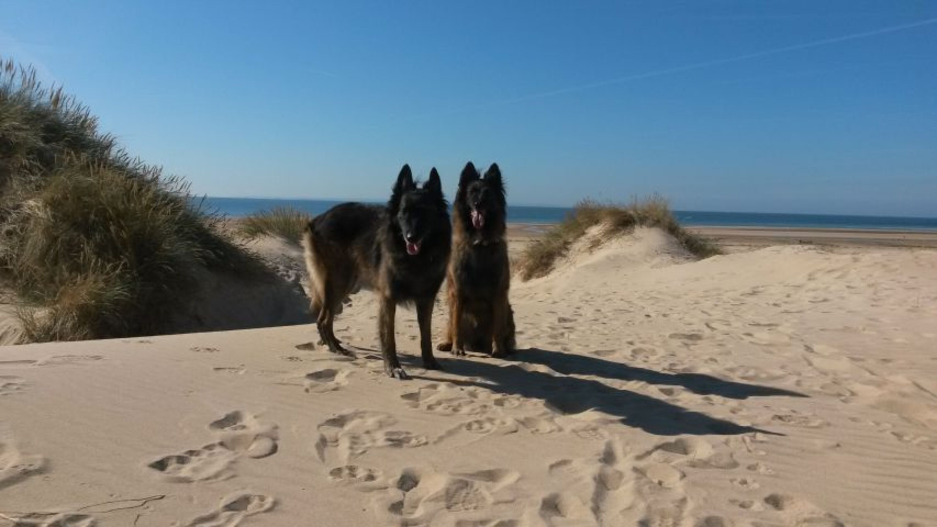 Bild 14