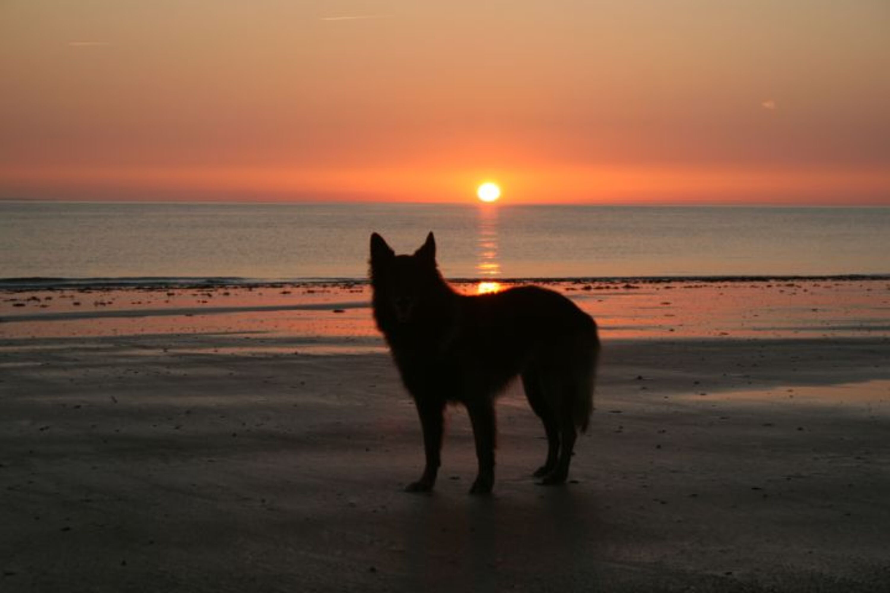 Bild 18