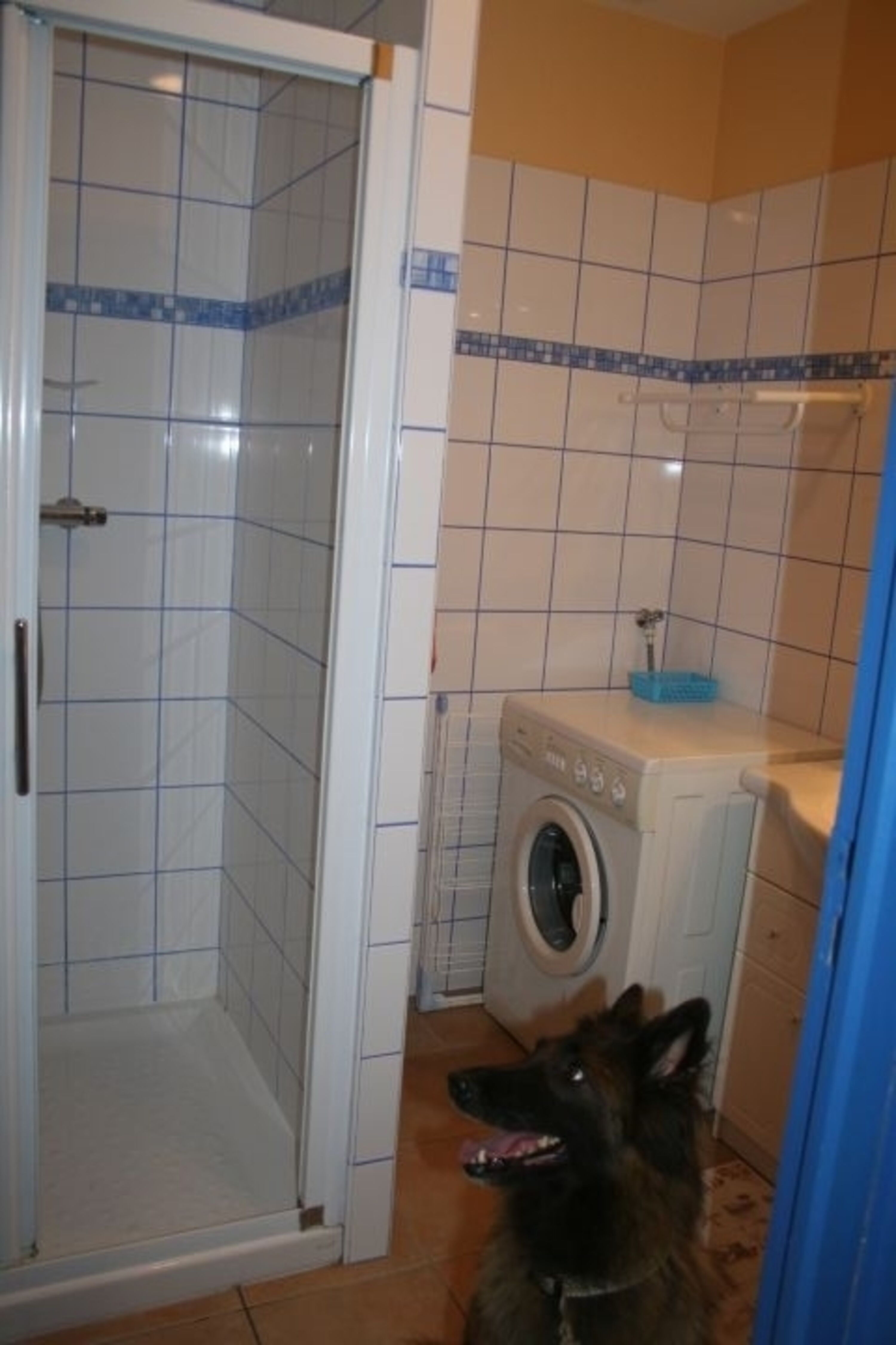 Bild 6