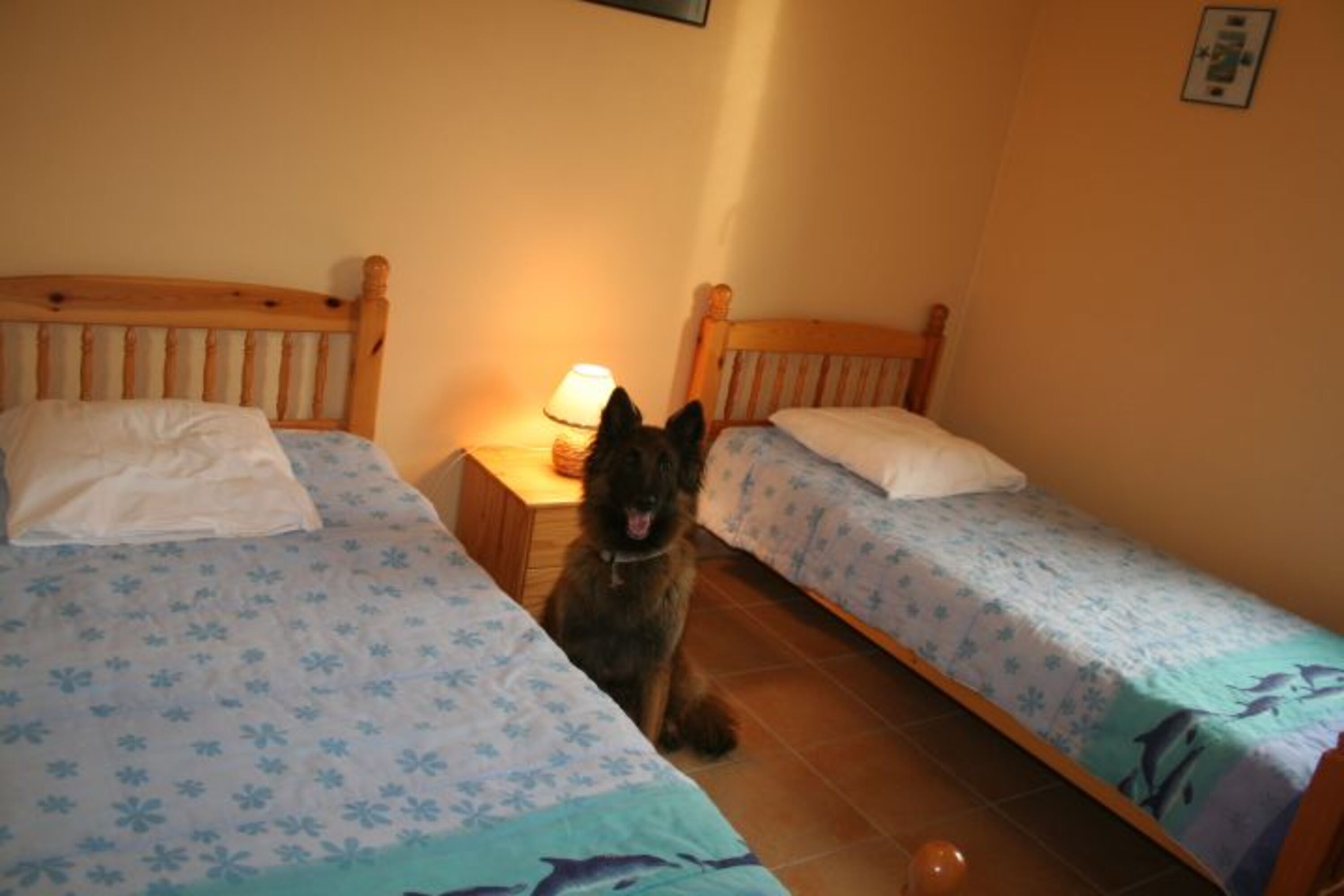 Bild 4