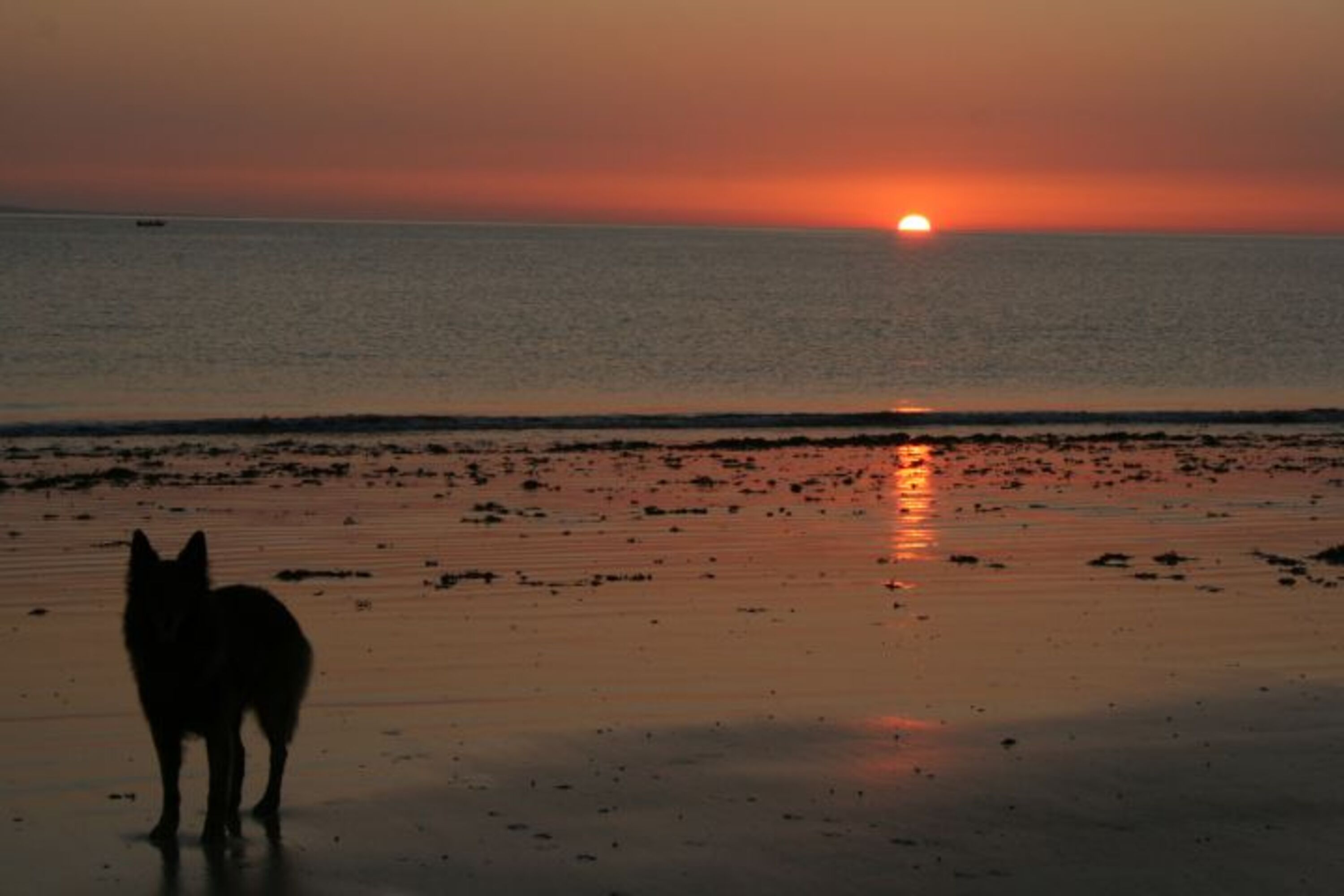 Bild 20