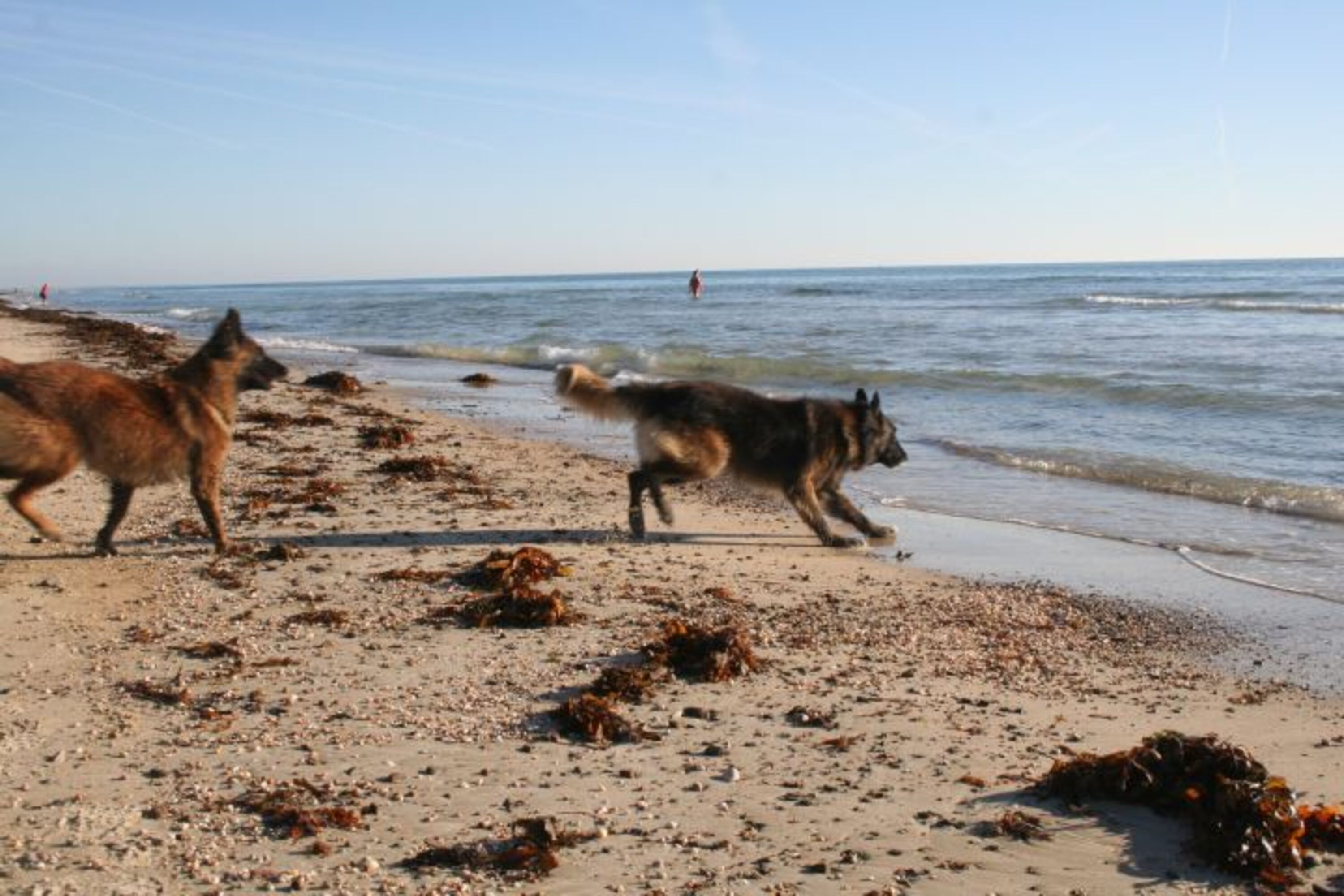 Bild 11