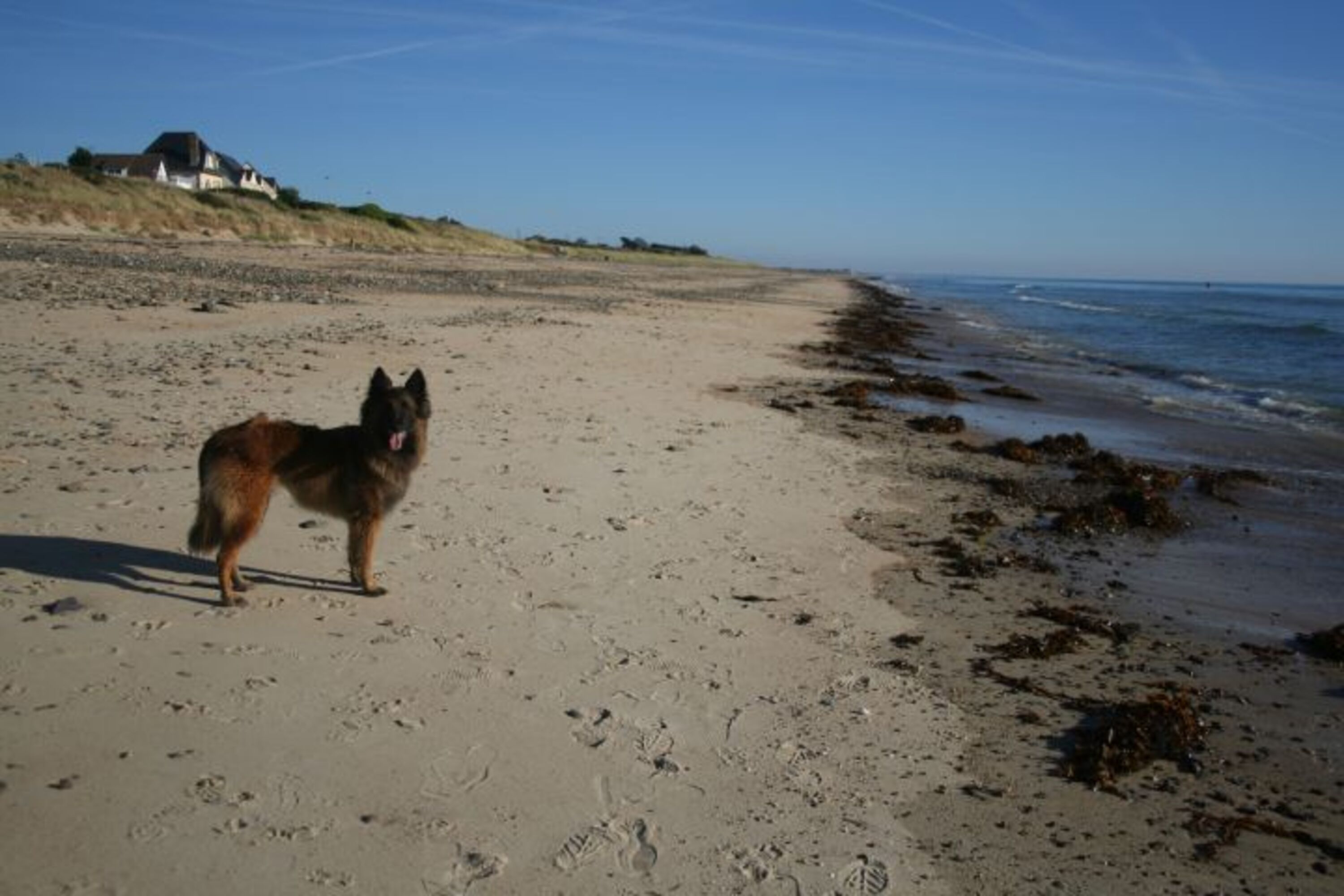 Bild 10