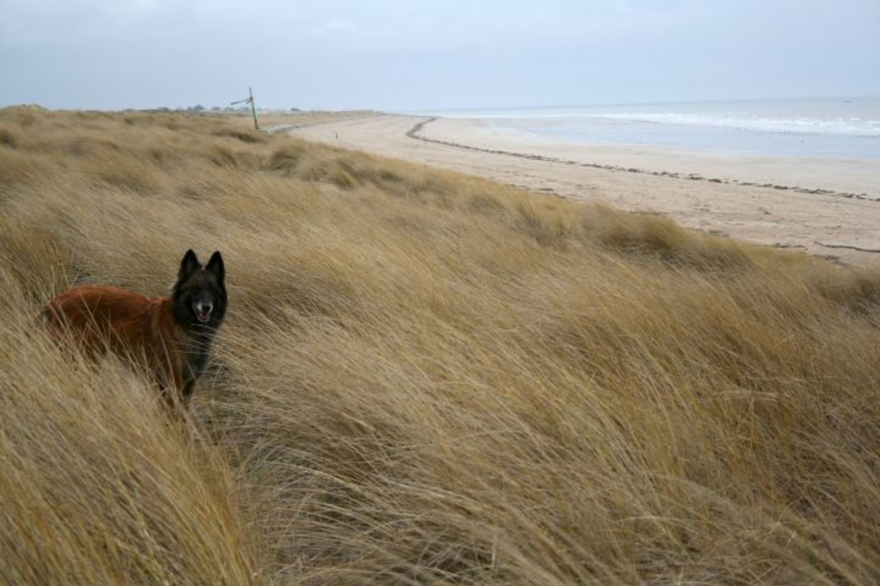 Bild 13