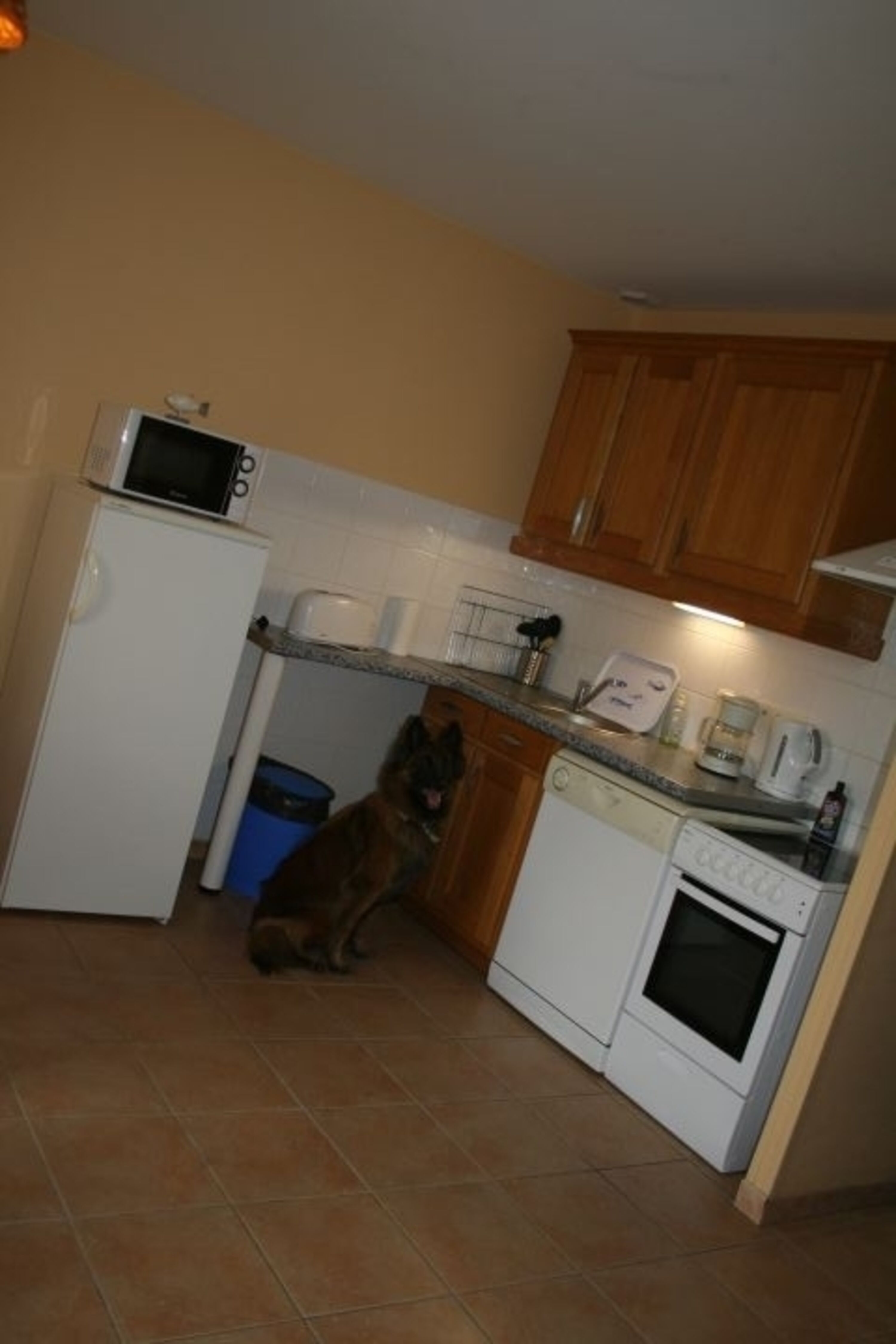 Bild 8