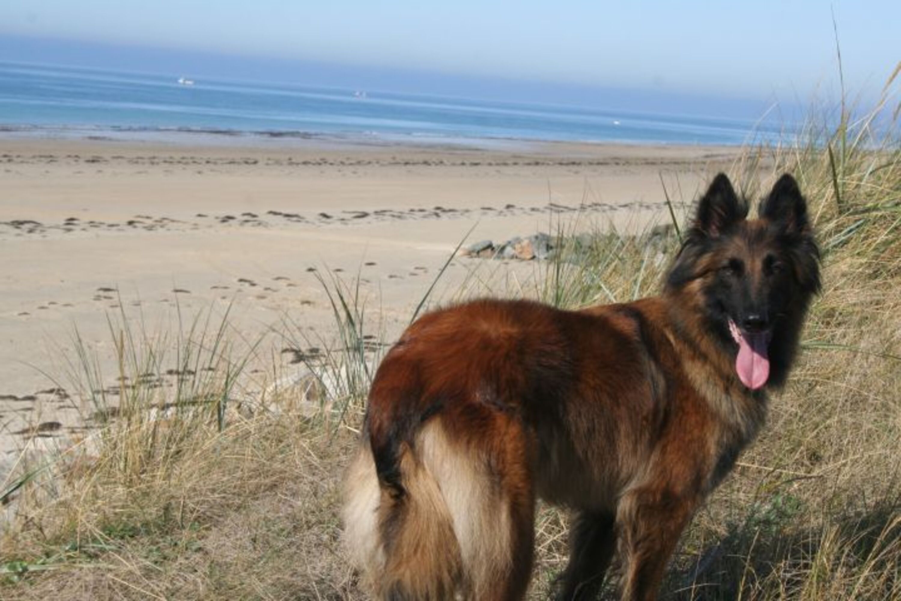 Bild 19
