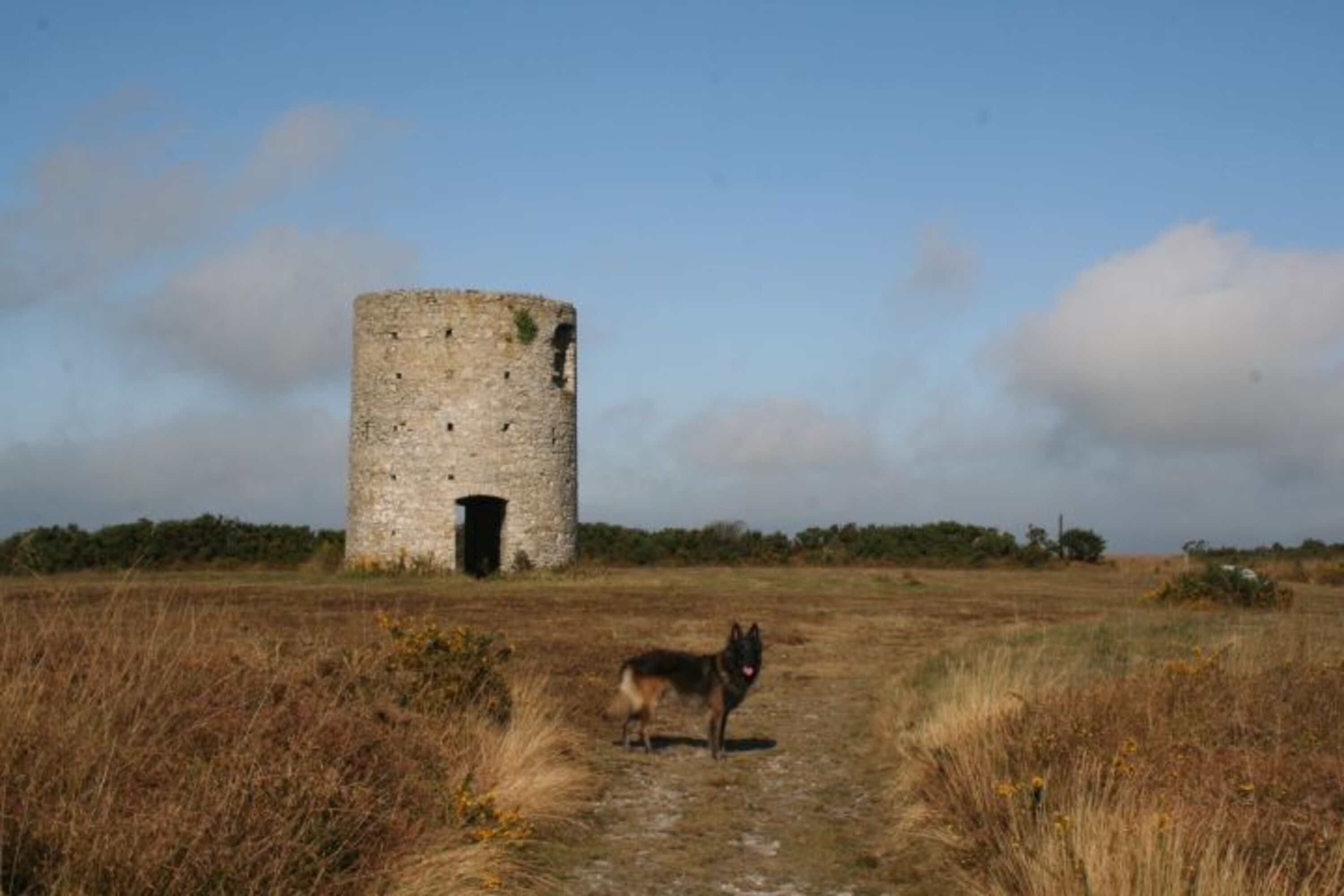 Bild 25