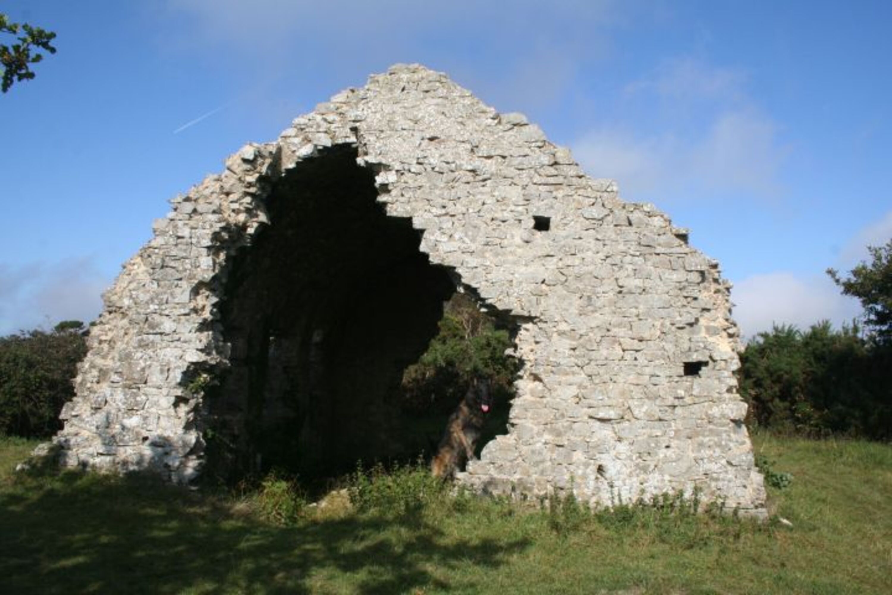 Bild 24
