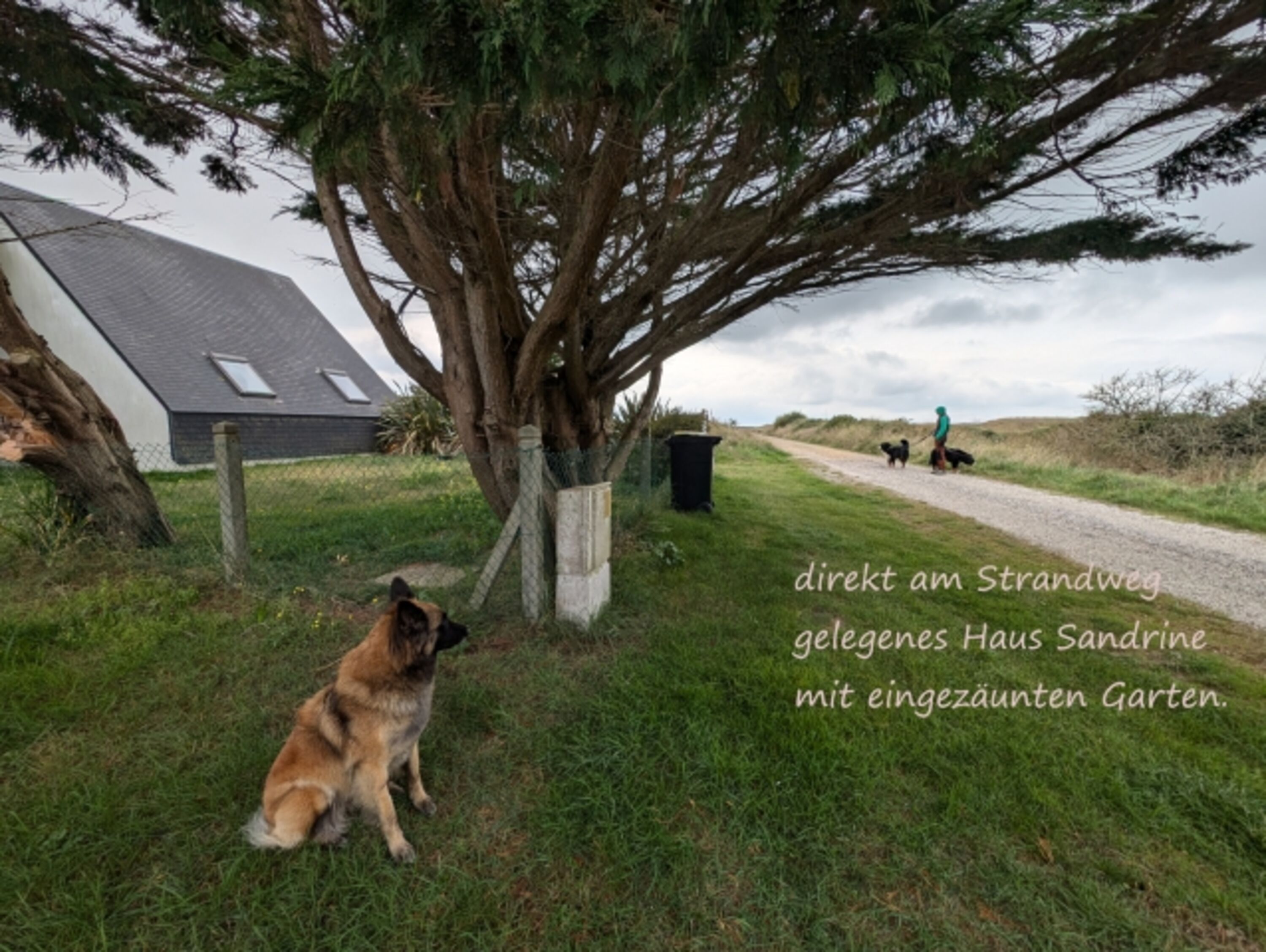 Bild 4