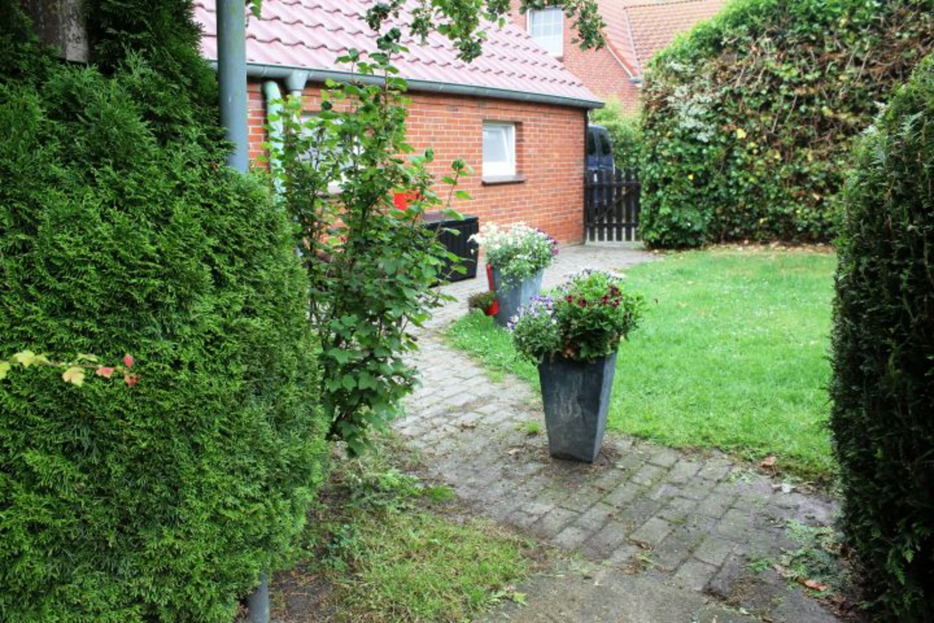 Bild 29
