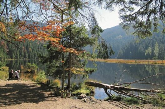 Entspannung am Kleinen Arbersee