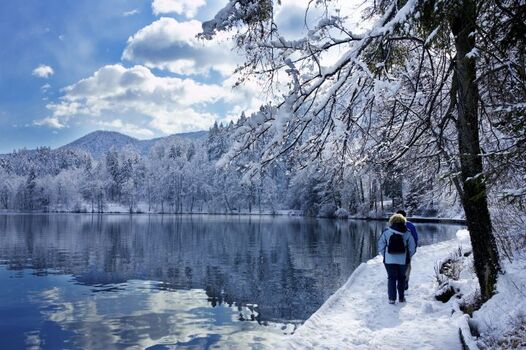 Winterspaziergang am Großen Arbersee