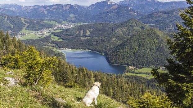 Ausblick auf den Großen Arbersee