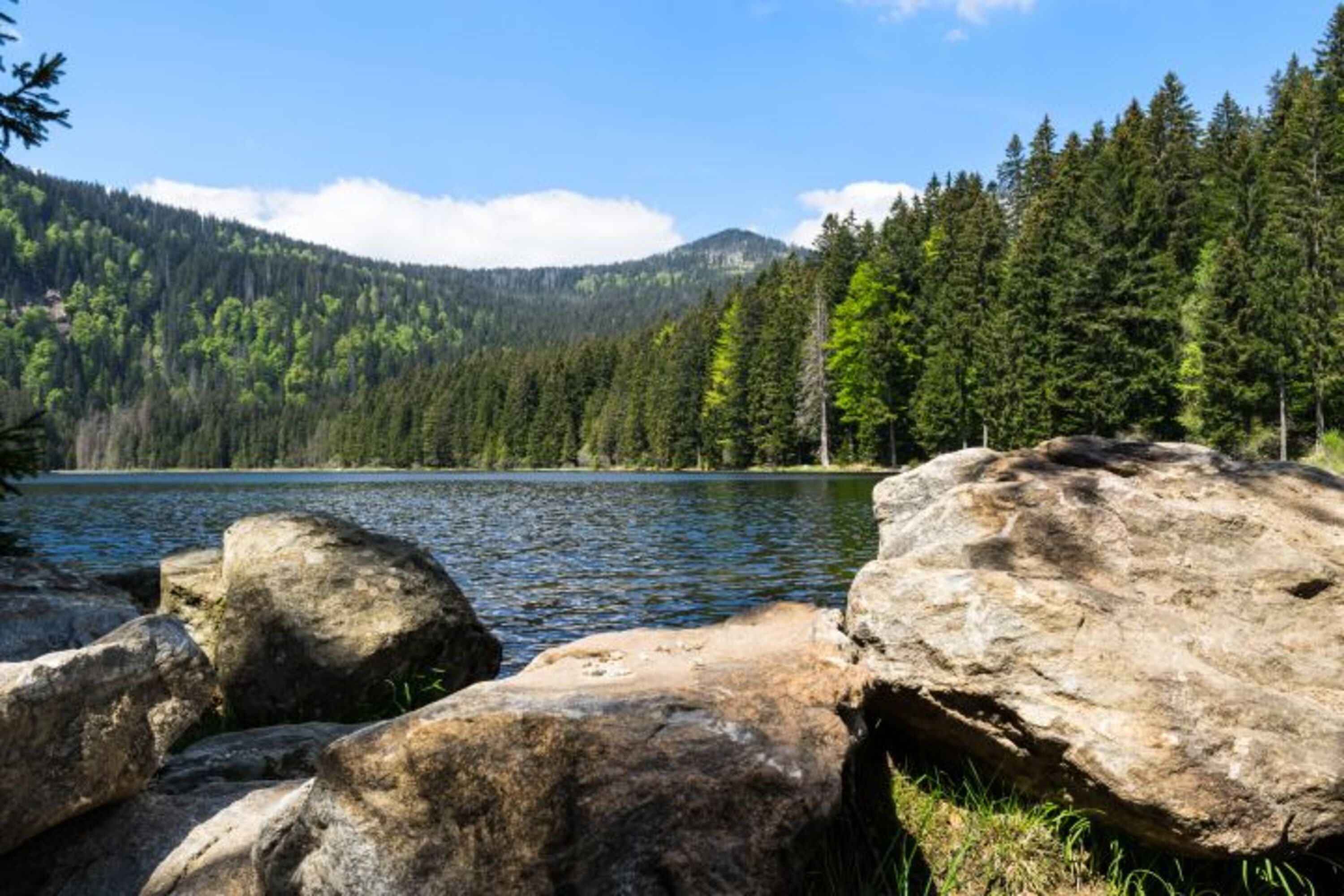 Großer Arbersee