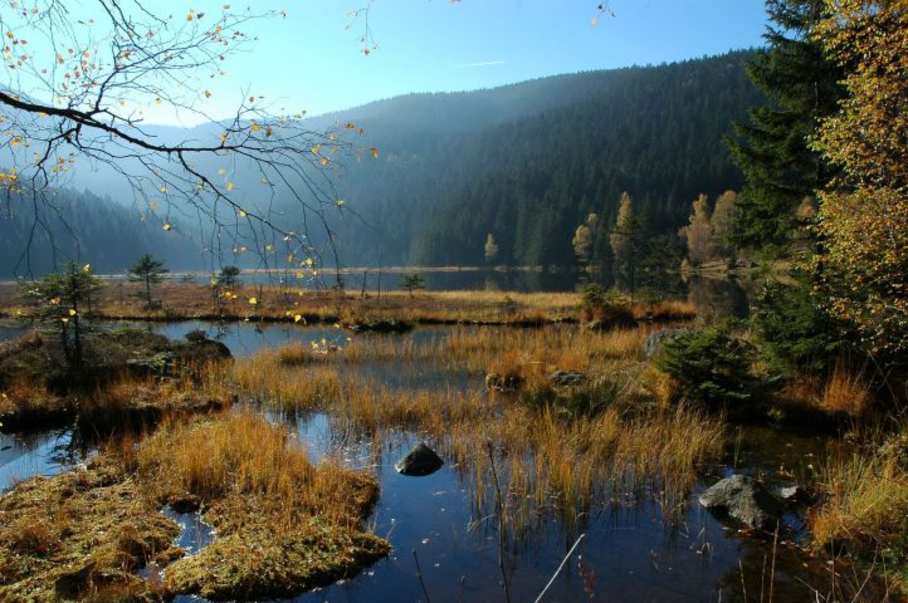 Natur Pur am Kleinen Arbersee
