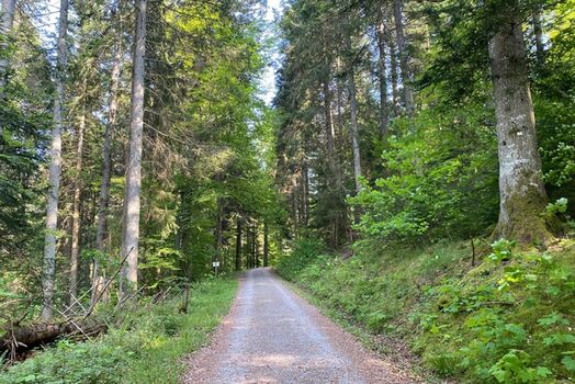Wanderwege direkt ab der Haustüre