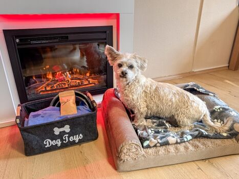 Hundebett zum Ausstattung