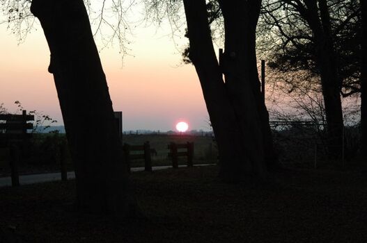 Blick vom Ferienhaus