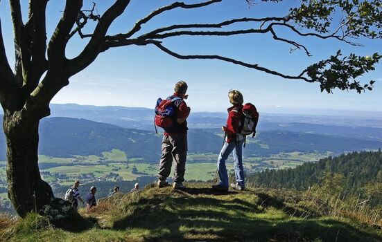 Wandern auf dem Kaitersberg