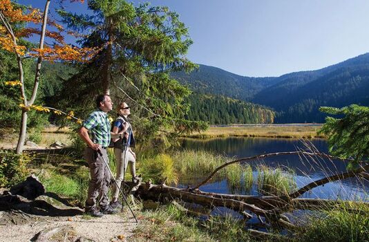 Wanderparadies Bayerischer Wald