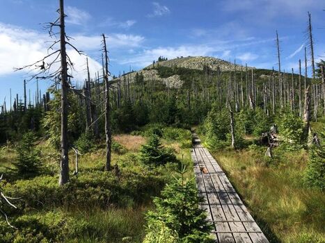 Nationalpark Bayerischer Wald
