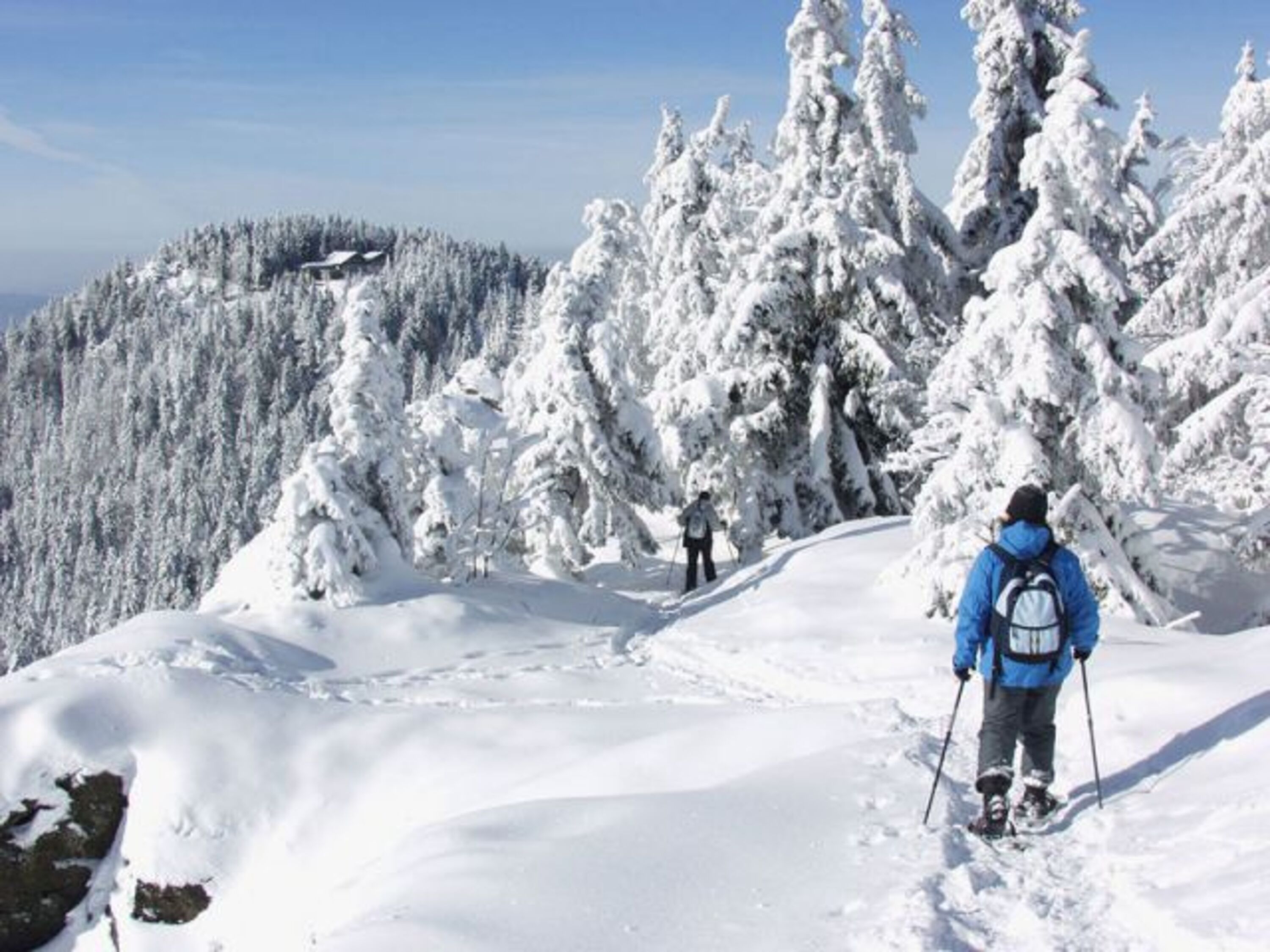 Schneeschuhwanderung am Kaitersberg