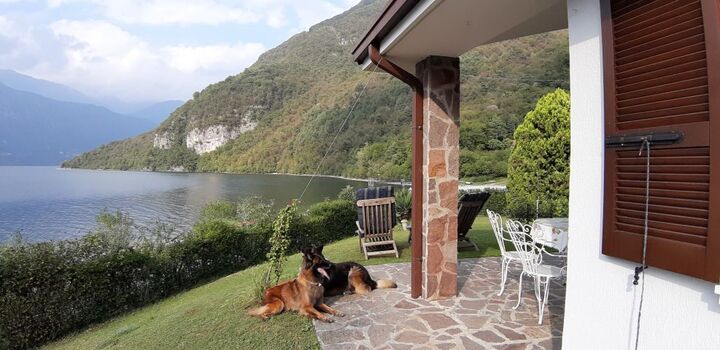 herrlicher Blick zum See