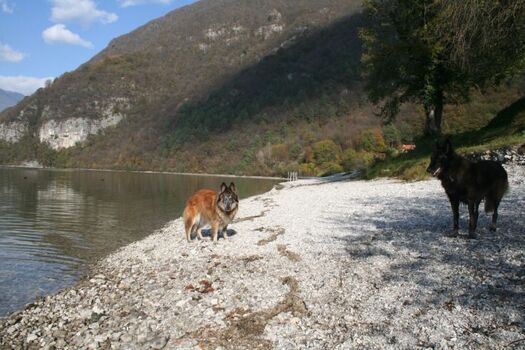 der Idrosee -- ideal für Hunde