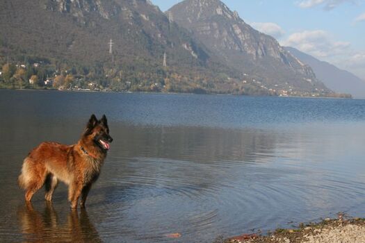 in direkter Umgebung