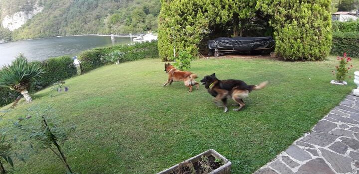 viel Platz im eigenen Garten