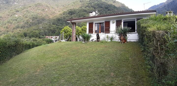 komplett eingezäunter Garten