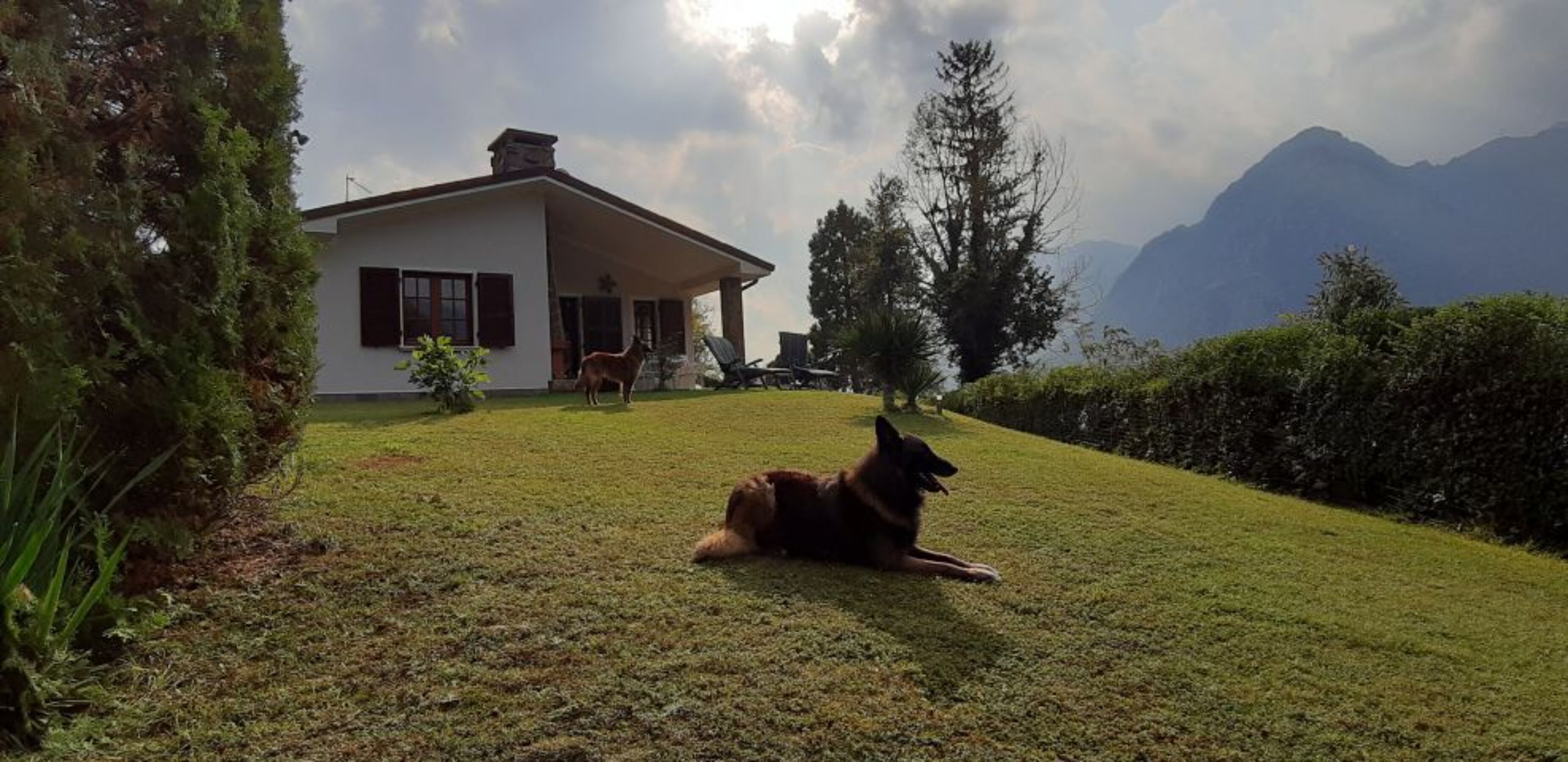 Hunde im Ferienhaus herzlich willkommen