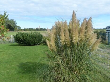 Leuchtturmblick von der Terrasse