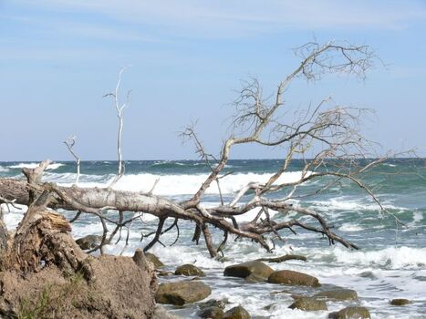 Strand bei Vitt Winter