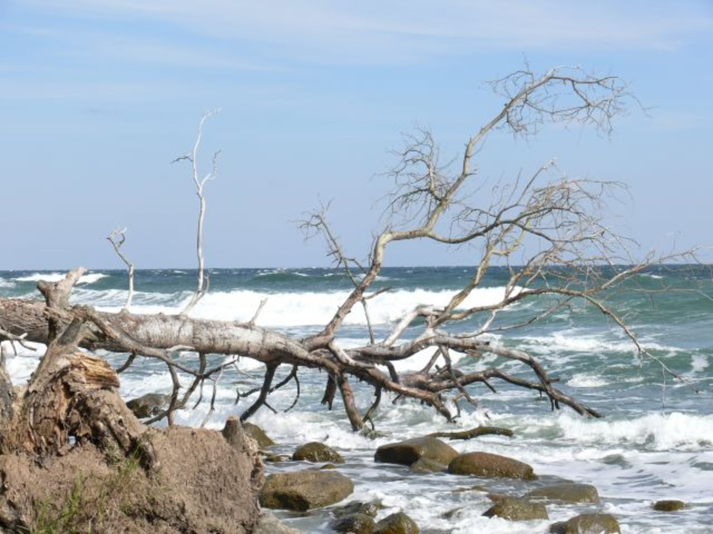 Strand bei Vitt Winter