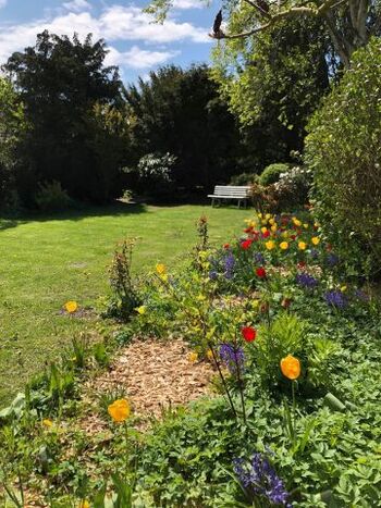 Garten - weitere Ansicht 