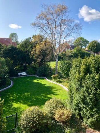 Blick auf den Garten 