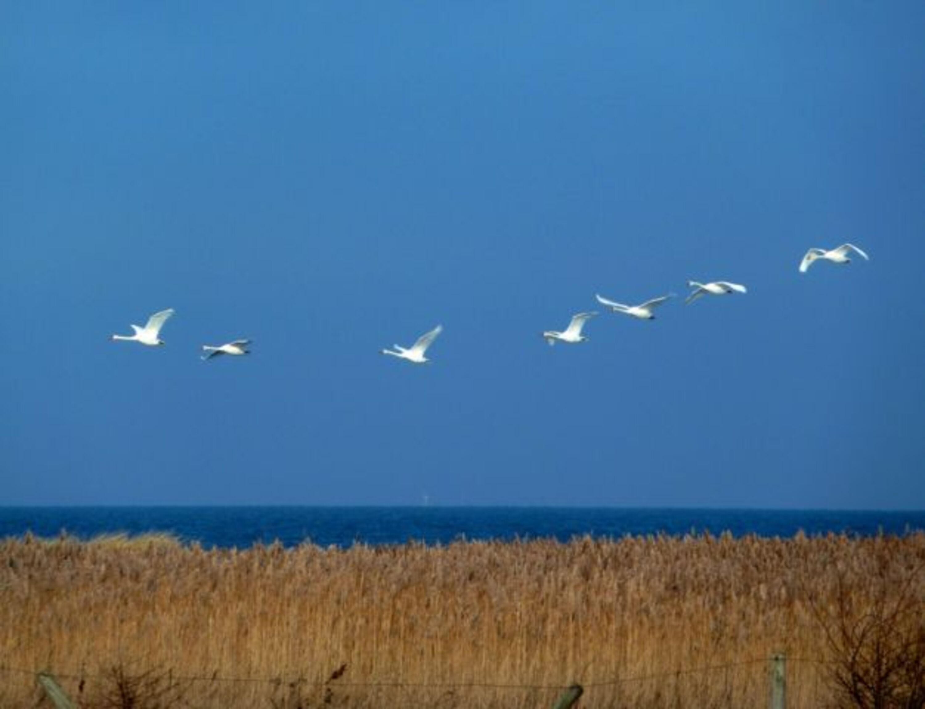 Impressionen 