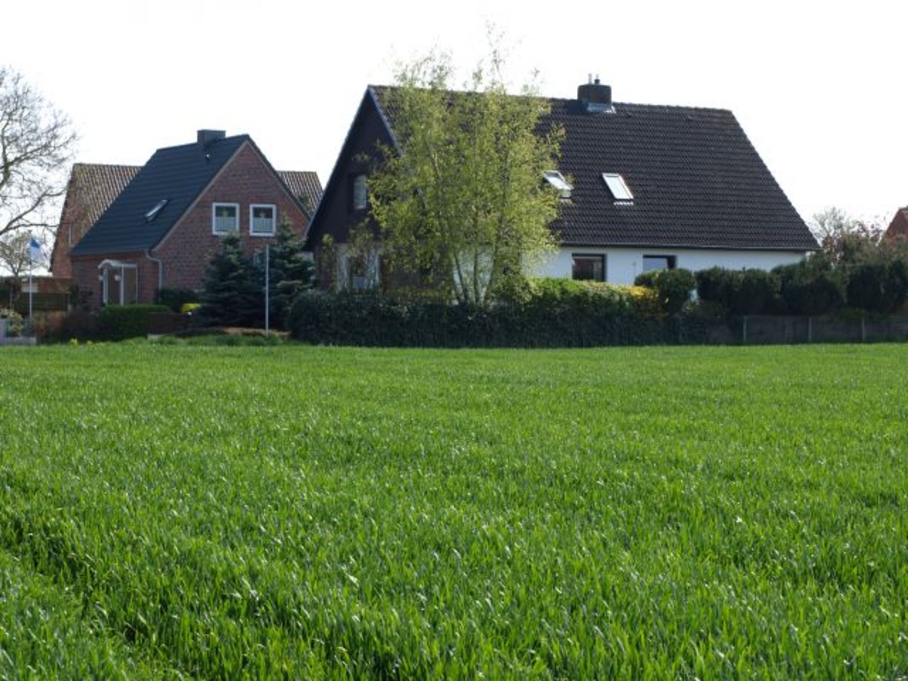 Blick vom Feld