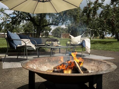 Ungestörte Gartentage für Mensch und Hund – spielen, relaxen und die Natur genießen