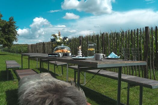 Ob Liege-, Spiel- oder Ruhebereich – jeder Gartenbereich eröffnet den freien Blick auf die sanfte Hügellandschaft Hohenlohes.