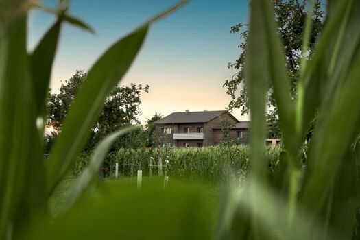 Modernes Holzhaus • Ortsrandlage • Traumhafter Ausblick